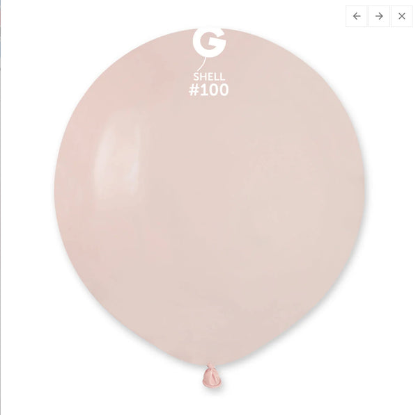 G150: #100 Shell 1002050 Standard Color 19 in